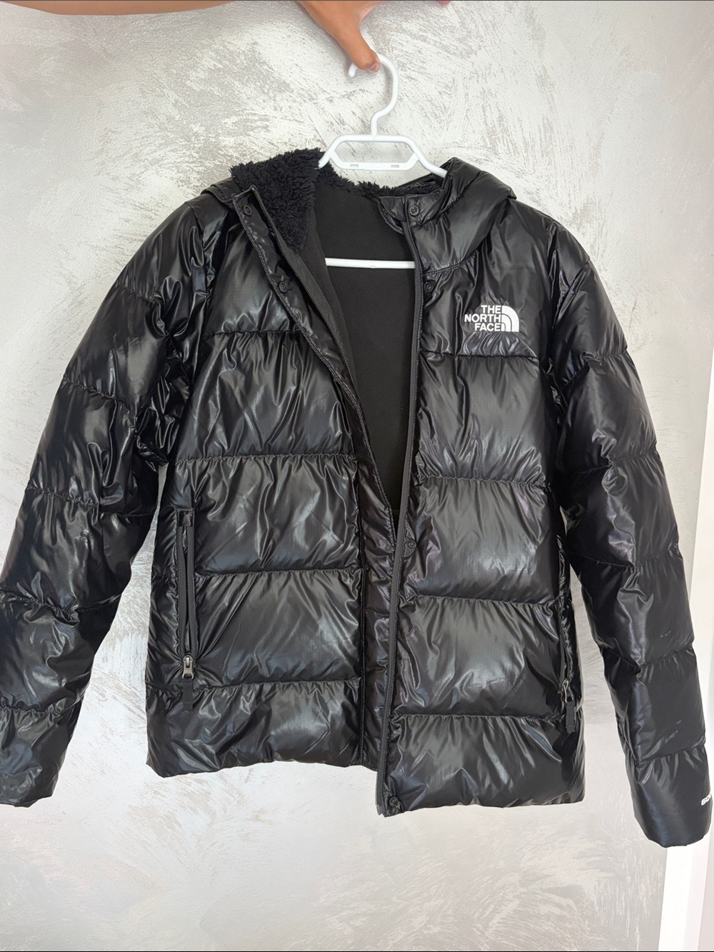 The North Face Shiny Black Quilted Hooded Puffer